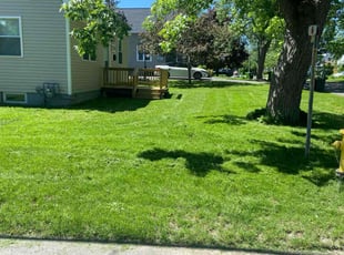 Toi A.'s lawn service service result