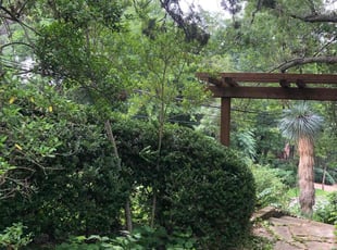Laura M.'s Bush Trimming service result