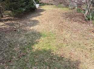 Mark S.'s lawn service service result