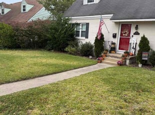 Artan B.'s lawn service service result