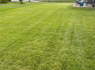 Smith D.'s lawn maintenance service result