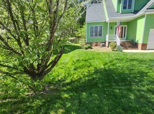 Grace W.'s turf care service result
