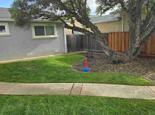 Oliver M.'s turf maintenance service result
