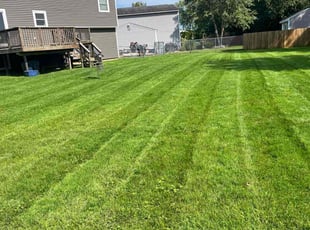 Kim J.'s grass maintenance service result