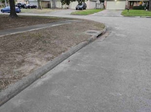 Esther C.'s turf maintenance service result