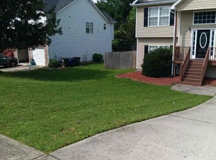 Dillon G.'s lawn care service result