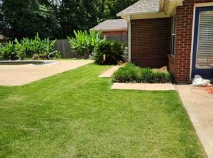 Laurie S.'s grass maintenance service result