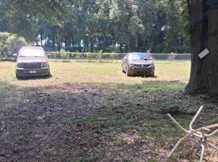 Lori M.'s turf care service result