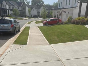 Shontel R.'s grass cutting service result