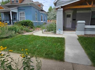 Jeneen R.'s turf care service result