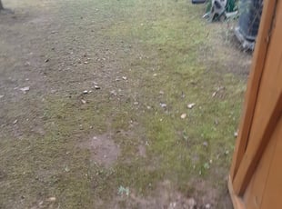 Jan C.'s Leaf Removal service result