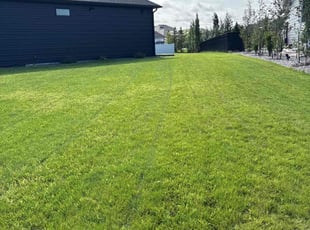 Al P.'s grass maintenance service result