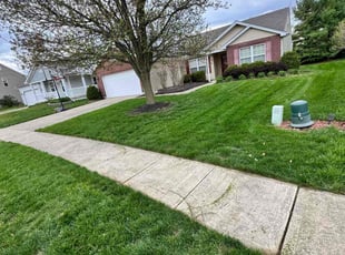 Marilyn P.'s grass cutting service result