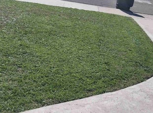 Joe L.'s lawn care services service result