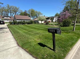 Theresa D.'s lawn care service result
