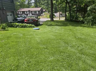 Wendy B.'s landscaping services service result