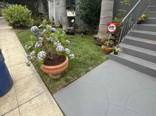 Matthew P.'s grass cutting service result