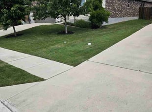Carlos L.'s lawn service service result