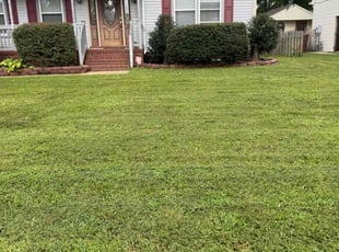 Nathan N.'s Long Grass Cleanup service result