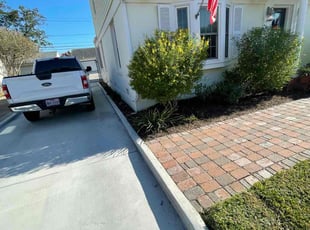 Andre S.'s Bush Trimming service result