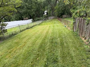 Gary W.'s lawn care service result