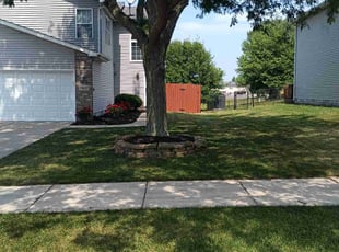 Lynn N.'s lawn care services service result