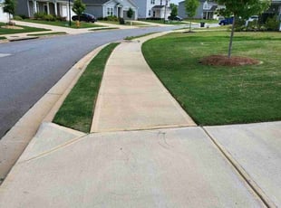 Kenneth P.'s grass cutting service result