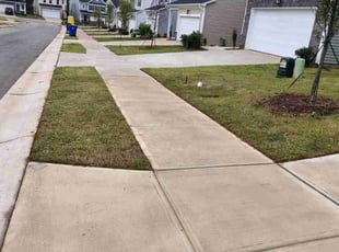 David F.'s lawn maintenance service result