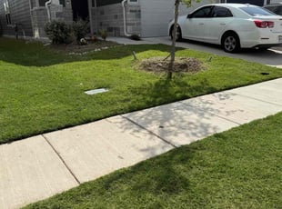 Luke F.'s turf maintenance service result