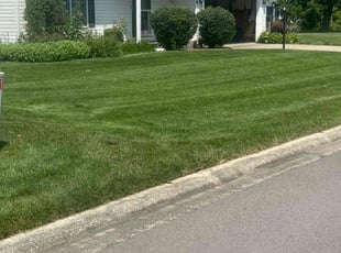 Chico M.'s turf care service result