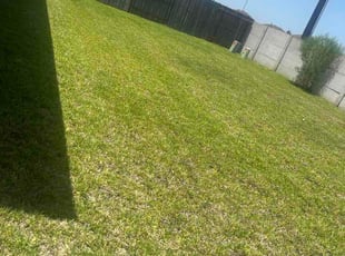 Brianne H.'s lawn service service result