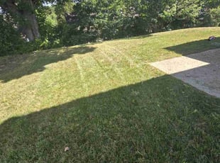Vanessa G.'s lawn care services service result