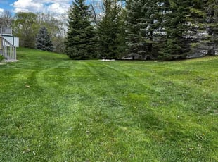 Ayana K.'s lawn service service result