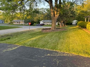 Susie E.'s grass cutting service result