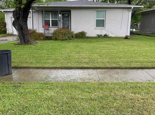 Ryan C.'s turf care service result