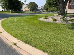 Ronald M.'s lawn service service result
