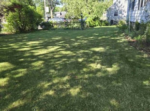 Dawn C.'s lawn care service result