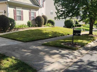 June K.'s grass maintenance service result