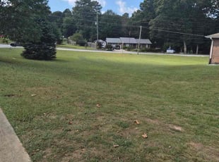 Sandra O.'s lawn maintenance service result