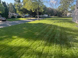 Hayden G.'s lawn care service result