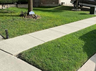 Skylar S.'s grass maintenance service result