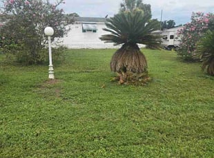 Kim H.'s lawn maintenance service result