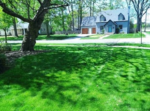 Rylee H.'s turf maintenance service result