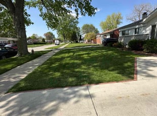 Kp P.'s turf maintenance service result