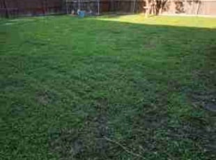 Jonathan V.'s lawn care service result