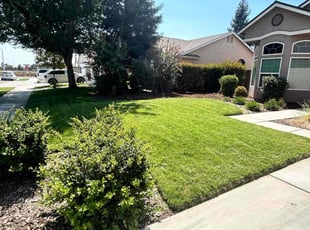 Kristen C.'s lawn service service result
