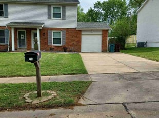 Steve G.'s grass maintenance service result