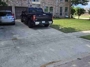 Alicia C.'s turf care service result