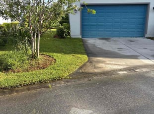 Cameron F.'s turf care service result