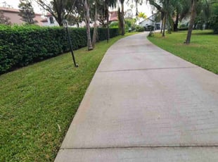 Jamie W.'s lawn care service result